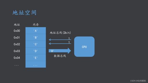 AMRT體系結(jié)構(gòu)與接口技術(shù) 計(jì)算機(jī)軟硬件協(xié)同開(kāi)發(fā)的理論基石